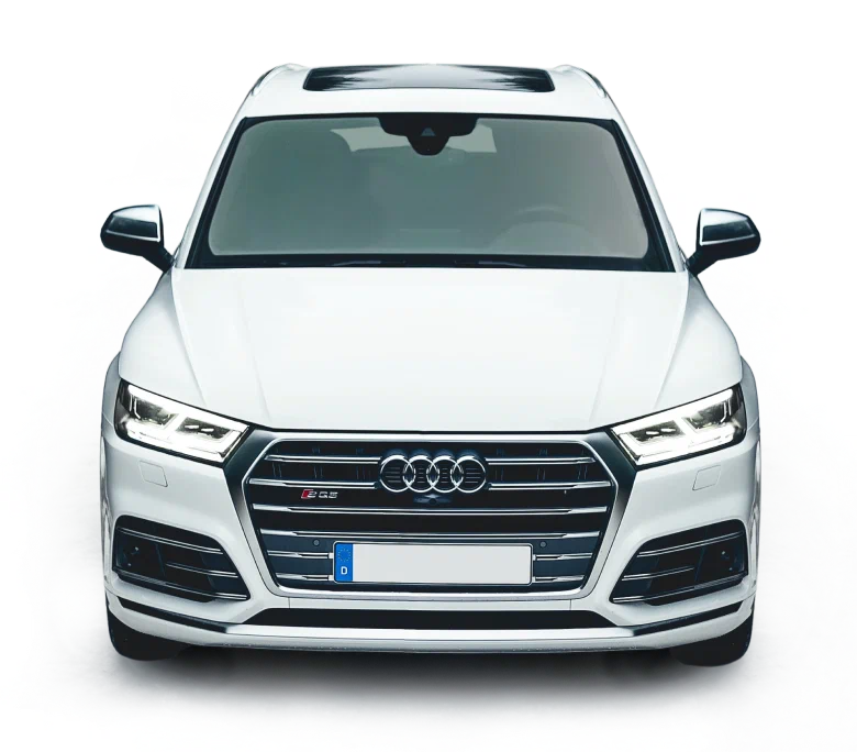 BIG HAL COM 羊毛 フェルト バフ 3mm 軸 24本